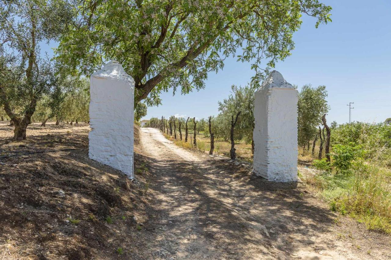 فيلا Hacienda San Antonio مارشينا المظهر الخارجي الصورة